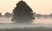 Randonnée A pied Henstedt-Ulzburg - Rundweg um Alsterniederung und Schlappenmoor - Photo 8