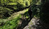 Trail Horseback riding Arfons - arfon4 - Photo 3