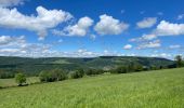 Tour  Rosières-sur-Barbèche - Rosière sur Barbeche  - Photo 3