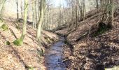 Tour Zu Fuß Hanau - Spessartspuren - Niederrodenbach - Barbarossaquelle und Klosterruine - Photo 1