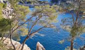 Randonnée Marche Cassis - cassis, en vau calanque et belvédère ,la fontasse - Photo 12