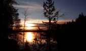 Tour Zu Fuß Kuusamo - Oulangan erämaareitti (Talvireitti) - Photo 6