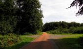 Percorso Marcia Haramont - en forêt de Retz_79_08_2019_vers Taillefontaine et Retheuil par les lisières - Photo 17