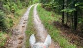 Trail Horseback riding Raon-l'Étape - Reconnaissance patrice 2024 - Photo 1