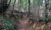 Tocht Stappen Châteaudouble - Chateaudouble pont des sarrasins  - Photo 1