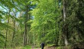 Trail Walking Saint-Hubert - Adeps St Hubert 2023 - Photo 1