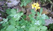 Trail Walking L'Albenc - Circuit autour de l'Albenc par Chantesse - Photo 1