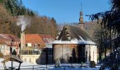 Tocht Stappen Saint-Quirin - St Quirin et ses 6 roses - Photo 13