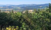 Trail Electric bike Le Puy-en-Velay - Le puy en Velay \ Lac de Malaguet  - Photo 4