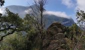 Tour Wandern Saou - Chapelle Saint-Médard à partir des Sables Blanc - Photo 18