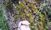 Trail Walking La Bastide-Solages - La Bastide des Parédous - Photo 11