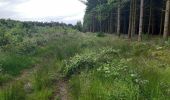 Randonnée Marche Trois-Ponts - autour de Wannes et Henimont - Photo 9