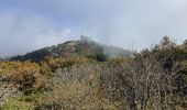 Excursión Senderismo Le Bessat - Croix de Chaubouret - Crêt de Botte - Col de l'Oeuillon  - Photo 10