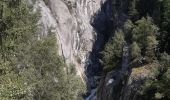 Tour Wandern Chamonix-Mont-Blanc - Les Tines,le chapeau retour par les gorges de l'Aveyron  - Photo 2