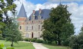 Tour Wandern Sauternes - Châteaux de Sauternes - Photo 11