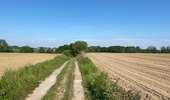 Trail Walking Enghien - Enghien 16 km - Photo 1