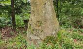 Trail Walking Urmatt - Lutzelhouse - sentier des géants - Photo 8
