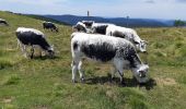 Trail Walking La Bresse - Le Hohneck et ses lacs d'altitude - Photo 2