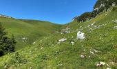 Randonnée Marche Saint-Pierre-d'Entremont - La Croix de l’Alpe 10,7 km - Photo 1