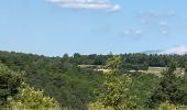 Trail Horseback riding Simiane-la-Rotonde - Provence 2025 J4 - Photo 12