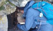 Trail Walking Fontainebleau - Rocher Fourceau-Petit Mont Chauvet SR210523Ve?? fmg - Photo 1