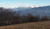 Tocht Stappen Chindrieux - SAPENAY / CLERGEON: COL DU SAPENAY - MONTCLERGEON PAR LE SENTIER DES VACHES (en live) - Photo 2