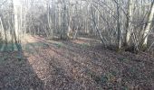 Tour Wandern Brou-sur-Chantereine - brou 18-12 - Photo 13