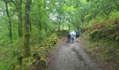 Trail Walking Sarria - Sarria Portomarin  - Photo 18