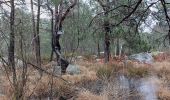 Randonnée Marche Fontainebleau - Épine essai  - Photo 1