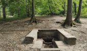 Randonnée Marche Clamart - Tour des etangs - Bois de Clamart et de Meudon - Photo 13