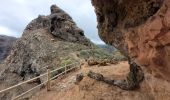 Excursión Senderismo San Cristóbal de La Laguna - Punta del Hidalgo  - Chinamada  - Photo 6