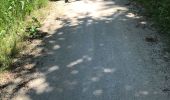 Trail Mountain bike Limours - Janvry-Roche Turpin -39.5km-4h - Photo 1