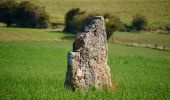 Tocht Stappen Durbuy - SityTrail - Ozo-Izier - Boucle immersive agricole et touristique - A la découverte des fromages d'Ozo - Photo 3