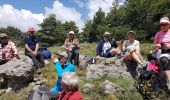 Trail Walking Caussols - CAUSSOLS-Les plateaux de Calern et de Caussols-MBO - Photo 20