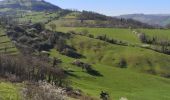 Percorso Marcia Saint-Christophe-Vallon - Le Puech du Cayla  - Photo 11