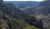 Excursión Senderismo Le Rozier - Les corniches des gorges de la Jonte et du Tarn - Photo 6