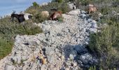 Tour Wandern Le Castellet - gros  cerveau  par GR 51 depuis l'ouest  - Photo 1