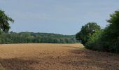 Trail Walking Lasne - autour d'Ohain... - Photo 9