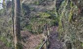 Trail Walking Bertrix - rando auby sur semois 14-03-2024 - Photo 17