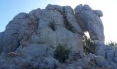 Excursión Senderismo Signes - Siou Blanc - Éléphant de Pierre - Aiguilles de Valbelle - Photo 1