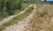 Tour Quad Villeneuve-de-la-Raho - Villeneuve-de-la-Raho-Collioure(Juillet-Aout) - Photo 12