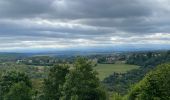 Trail Walking Houyet - Gendron-gare août 2025 - Photo 15