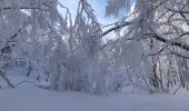 Percorso Racchette da neve Léoncel - Le Grand Echaillon - Les Crêtes de la Sausse - Photo 17