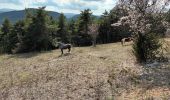 Tour Wandern Bargème - montagne de Brouis-Bargème-19-03-23 - Photo 5