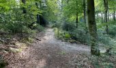 Trail Walking Vivières - en Forêt de Retz_88_autour du Regard Saint-Hubert et du Rond de la Reine - Photo 17