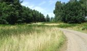 Trail On foot Breckland - Desert Rats Memorial Walk  - Photo 2