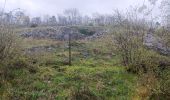 Tocht Stappen Dinant - mon tour de la citadelle  - Photo 10