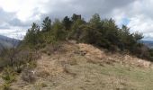 Excursión Senderismo Bézaudun-sur-Bîne - De la Tour de Bézaudun au Col du Gourdon (La Chaudière) - Photo 12