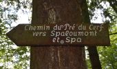 Tocht Stappen Spa - 20230814 - SPA Warfaaz 7 Km - Photo 16