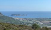 Excursión Senderismo Torroella de Montgrí - Castel de mont gris variante - Photo 14